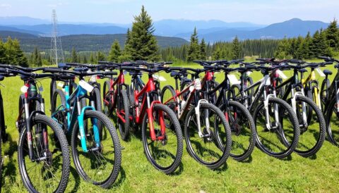 cheap mountain bikes